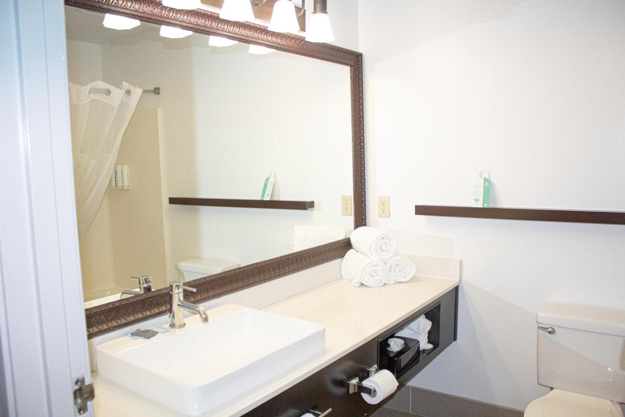 Country Inn & Suites By Radisson, Big Rapids, Mi Экстерьер фото